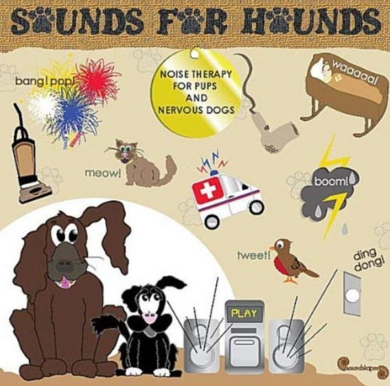 Noise therapy illustration for anxious dogs.
