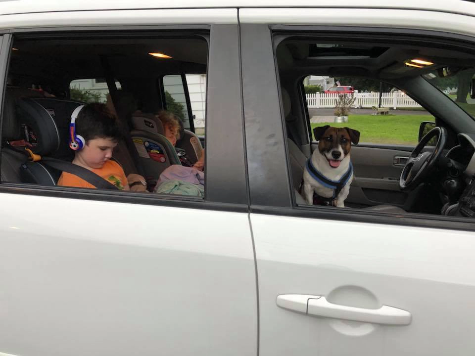 Children and dog in car, windows open.