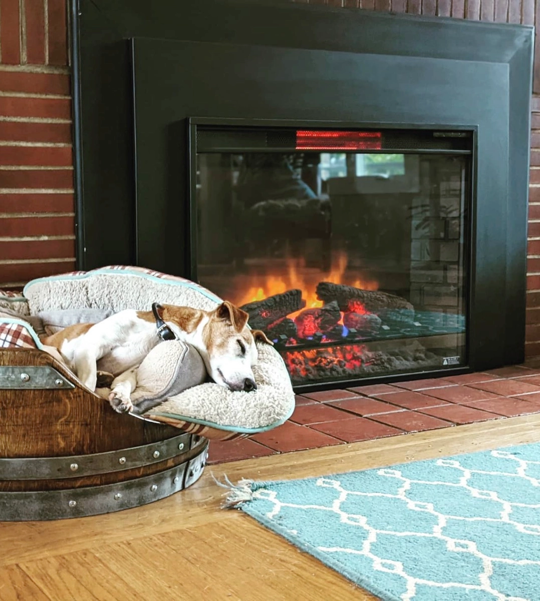 Dog sleeping by cozy fireplace.