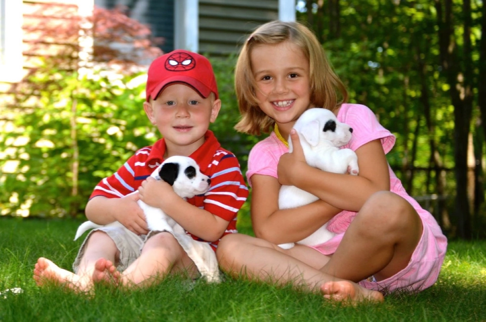 Children sitting on grass with puppies.