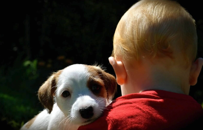 Baby and puppy together in sunlight. Baby and puppy together in sunlight.