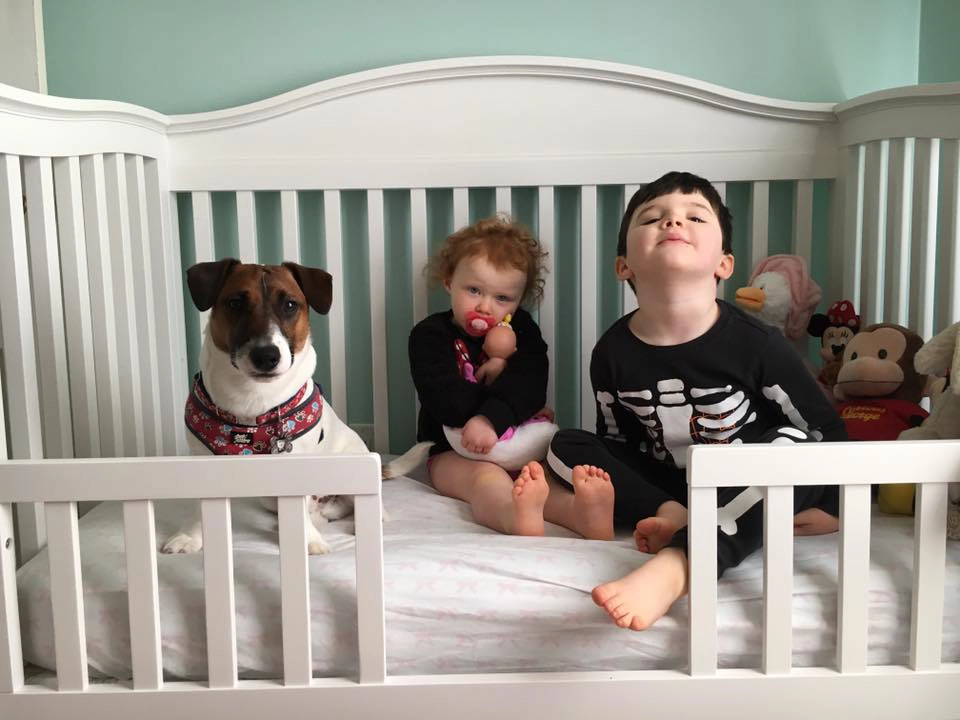 Dog and kids sitting in a crib. Dog and kids sitting in a crib.