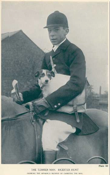 Man on horseback holding a small dog. Man on horseback holding a small dog.