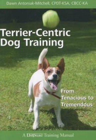 Dog catching ball on book cover.