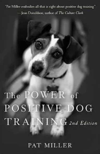 Dog training book cover with a dog.
