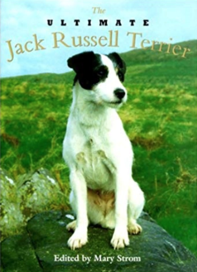 Jack Russell Terrier on book cover outdoors.
