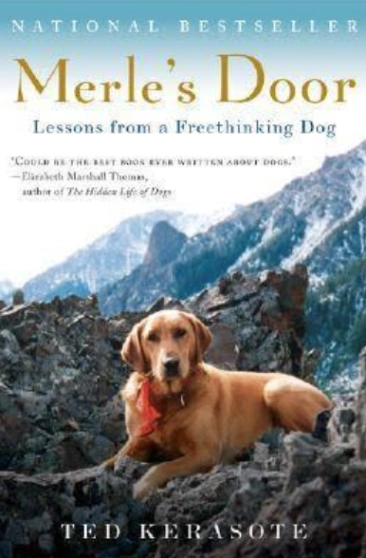 Dog in mountains on book cover.