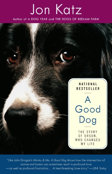 Close-up of a dog's face, book cover.
