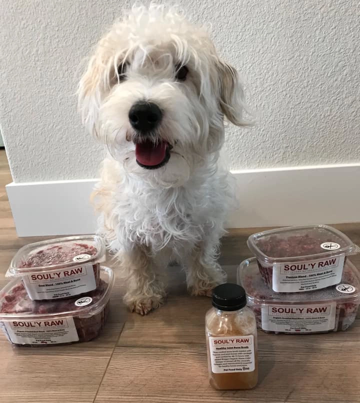 Fluffy dog with raw pet food containers.