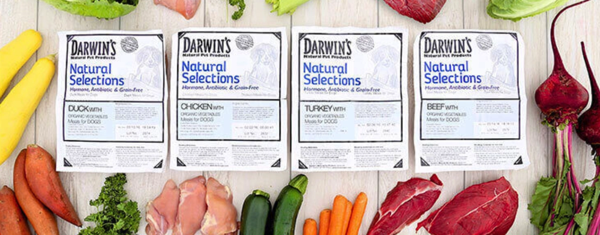 Pet food packets surrounded by fresh vegetables.