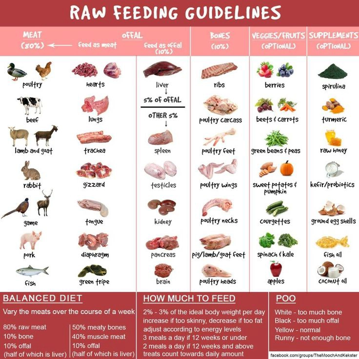 Raw feeding guidelines for pets chart. Raw feeding guidelines for pets chart.