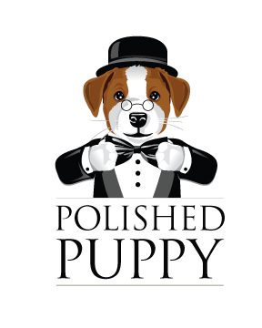 Over 100 Connemara Terrier Puppies have graduated from our Polished Puppy Kindergarten. You can view the puppies "End of training videos" on our <a href="https://www.youtube.com/user/jackrussellpuppies/videos" target="_blank">YouTube page.</a>